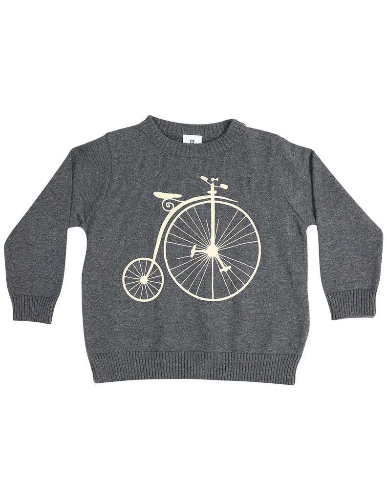 C13031C Vamos Vintage Boys Knit Sweater with Print