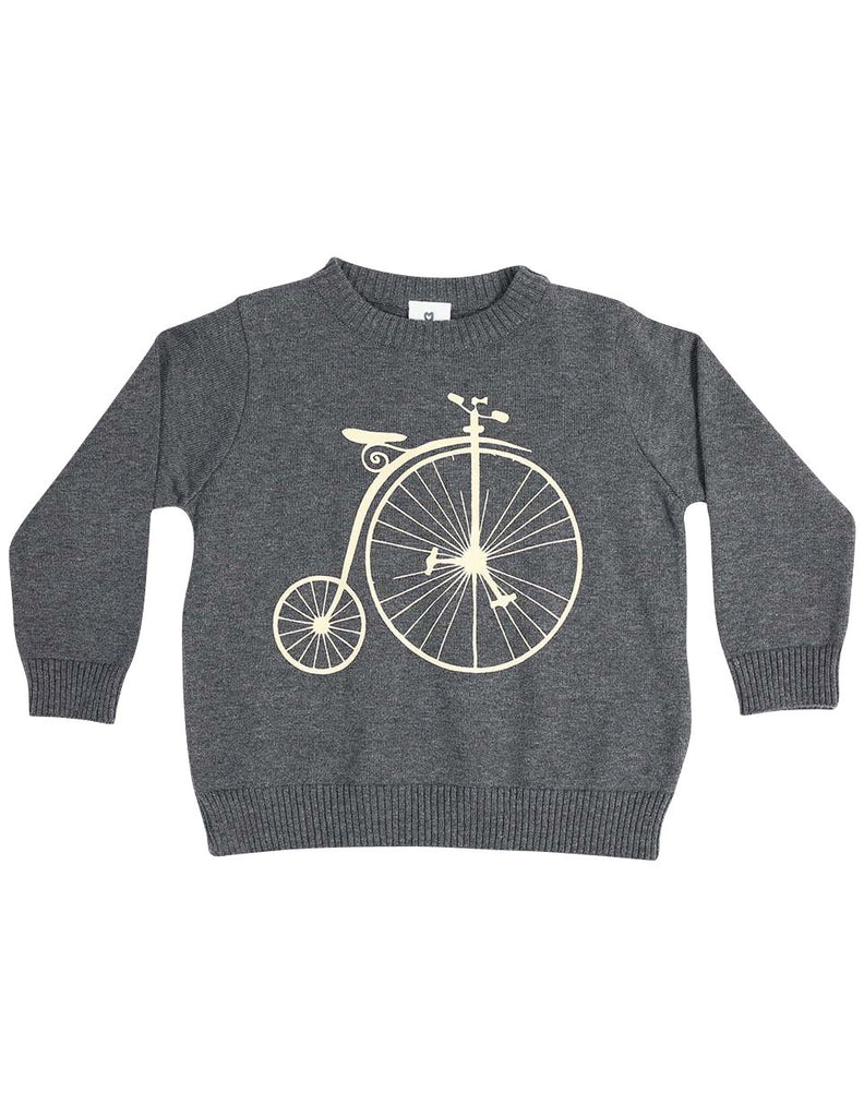 C13031C  Vamos Vintage Boys Knit Sweater with Print