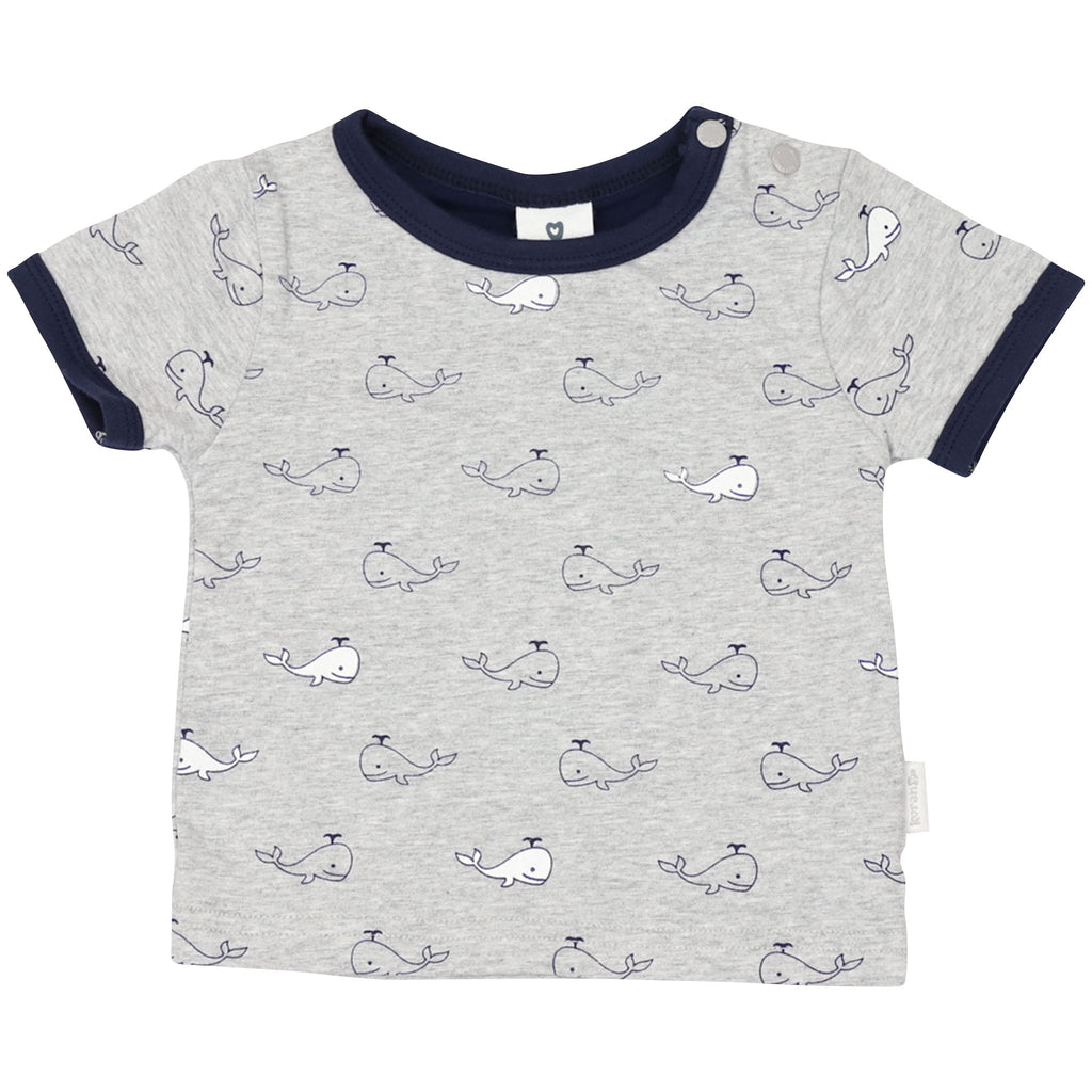 B1415G Whale Top